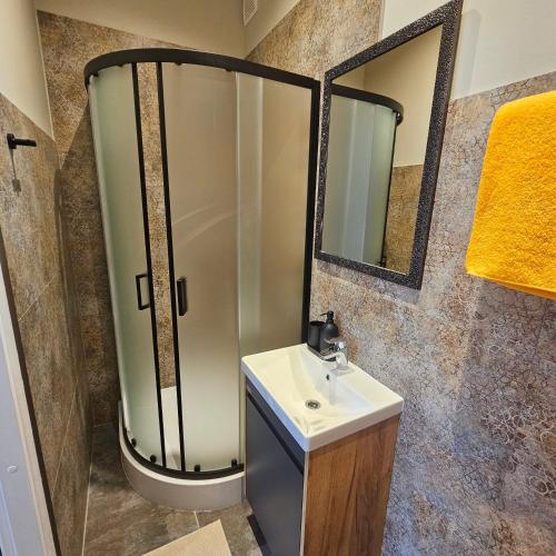 a bathroom with a sink and a shower with a mirror at Paulas room. in Rīga