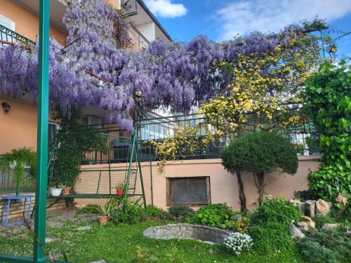 STUDIO APARTMAN KATARINA