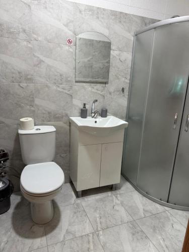 a bathroom with a toilet and a sink and a shower at Hotel Tatul in Momchilgrad