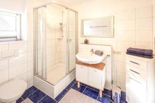 a bathroom with a shower and a sink and a toilet at Fewo Sonnenblick in Gaienhofen