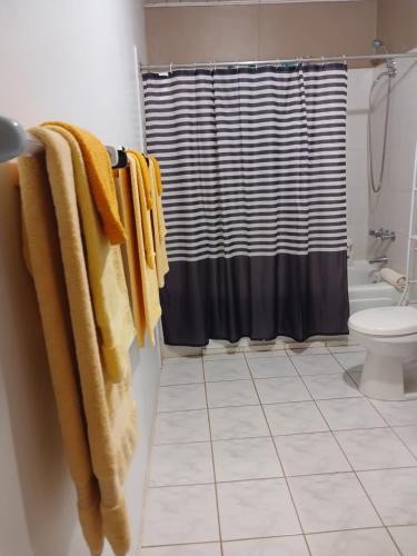 a bathroom with a shower curtain and a toilet at Ultimate Freedom Bed and Breakfast in Santa Cruz