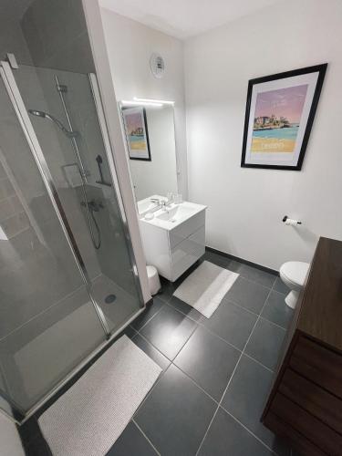 une salle de bain avec une douche, un lavabo et des toilettes dans l'établissement Sublime appart avec Jardin - 5 mn à pied des halles et plages, à Dinard