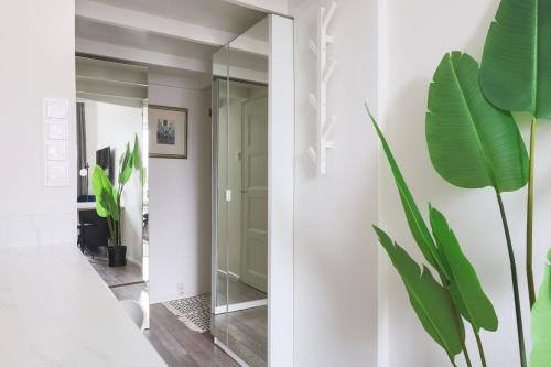 een hal met een spiegel en een plant bij Stylish Studio in the Heart of Kallio in Helsinki