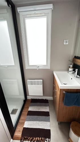 une salle de bain avec un lavabo et une fenêtre dans l'établissement Evasion nature Bungalow vue sur la faune locale, à Veuzain-sur-Loire