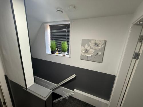 プレストンにあるMoor Park Apartmentsのバスルーム(鏡、窓、一部の植物付)