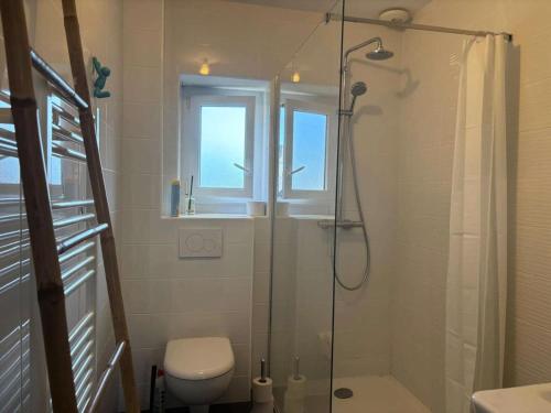 une salle de bain avec douche et toilettes et une fenêtre dans l'établissement Résidence C03-perros Guirec - Maison de charme Côte de Granit Rose Perros Guirec MAE-0951, à Perros-Guirec