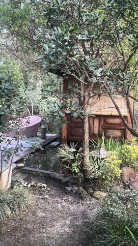 Photo de la galerie de l'établissement Résidence 03281-lacanau Ocean - Charmante maison sous les pins avec piscine privée MAE-7331, à Lacanau