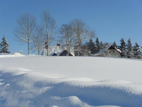 a pile of snow with trees in the background at Na Zvonici in Paseky nad Jizerou