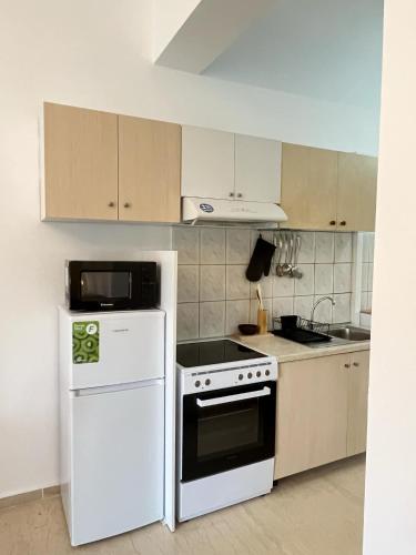 Кухня или мини-кухня в Katerina's Sunset Apartment
