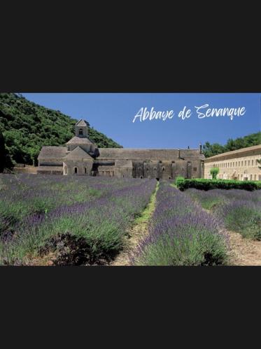 Le Clos des Papes photo 72