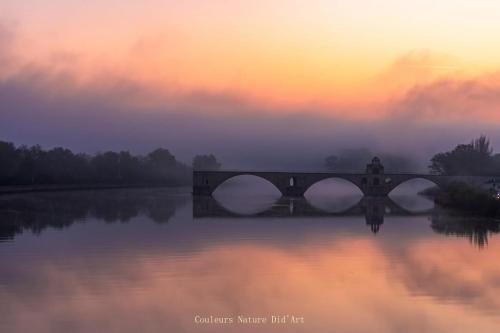 Le Clos des Papes photo 78