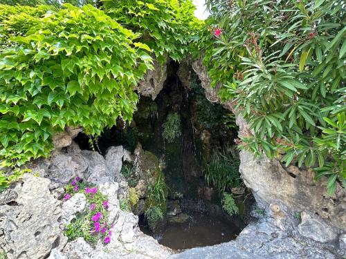 Le Clos des Papes photo 65