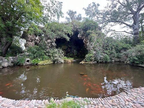 Le Clos des Papes photo 67