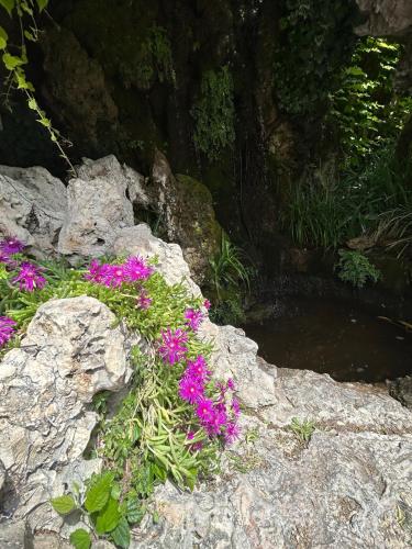 Le Clos des Papes photo 64