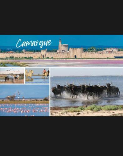 Le Clos des Papes photo 77