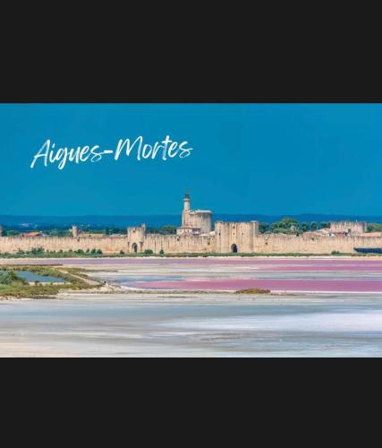Le Clos des Papes photo 86