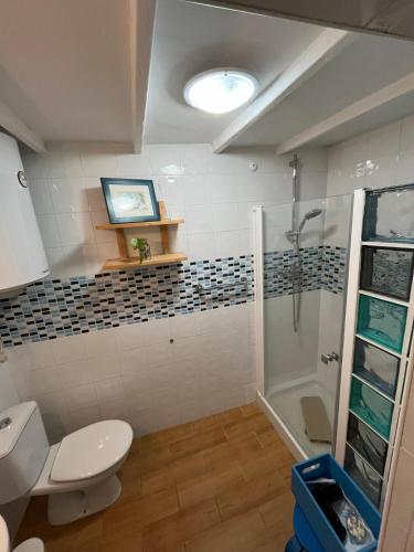 a bathroom with a toilet and a shower at Casa Patricia II in Arcos de la Frontera