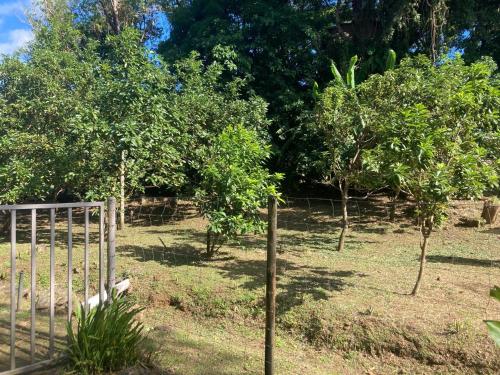 Taman di luar L'Alamanda