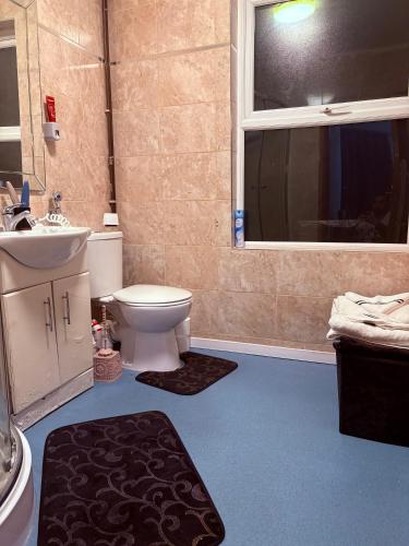a bathroom with a toilet and a sink and a window at Cozy flat in High Wycombe