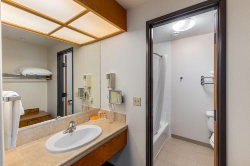 a bathroom with a sink and a shower at Breeze Inn Hotel in Seward