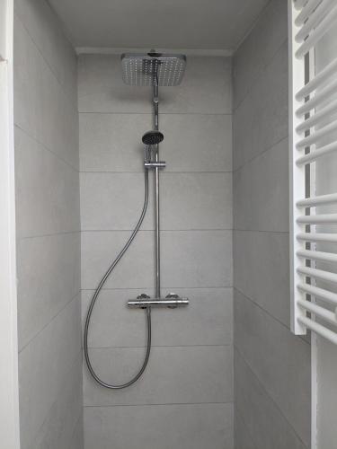 une douche avec pommeau de douche dans une salle de bain dans l'établissement Les pins du teich, au Teich