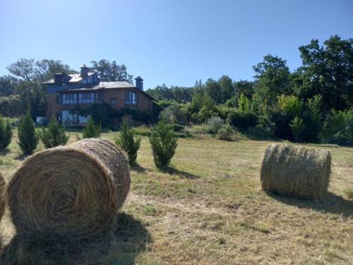 Gallery image of Las3Lobas in Valdelaloba