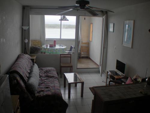 un salon avec un canapé et une table dans l'établissement Appartement T2 bord de mer, à Leucate-Plage