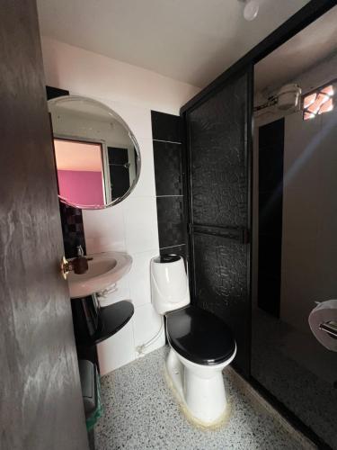 a bathroom with a toilet and a sink and a mirror at Hotel del Parque Támesis in Támesis