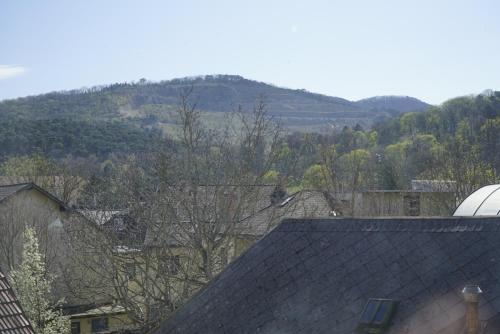 a view of a town with a mountain in the background at Norling Guest House in Vienna