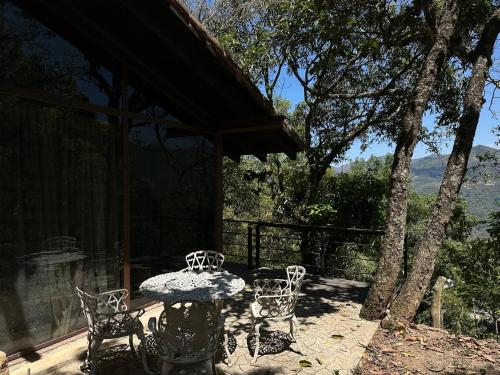 a patio with a table and chairs and a tree at Cabaña de Vidrio en el Bosque in Pahuatlán del Valle