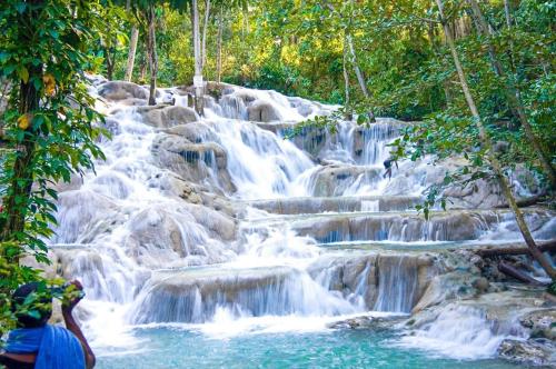 a group of waterfalls in a forest with trees at Modern Oasis near Dunns River Falls in St Mary
