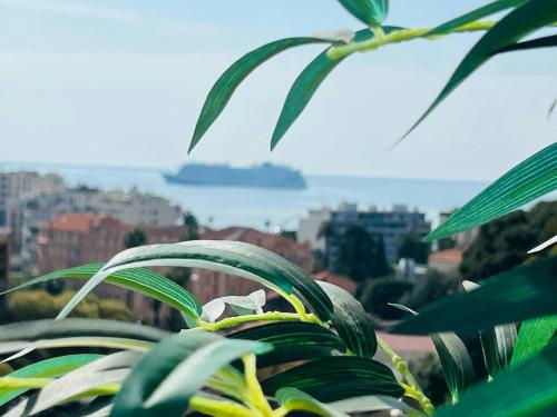 Nice 1 bedroom, sea view, 10 min from Cannes Center & Palais des Festivals