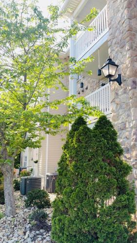 a bush in front of a house with a street light at The home away from home in Greensboro