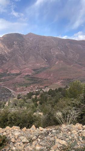a view of a mountain range with trees and rocks at Tayda Guest House in Azilal