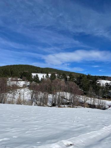 a snow covered field with trees and mountains in the background at Casa Vacanze Abete Bianco - Lorica in Cavaliere