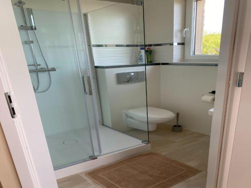 a bathroom with a toilet and a glass shower at Studio in Mi dzywodzie near Baltic Beach in Międzywodzie