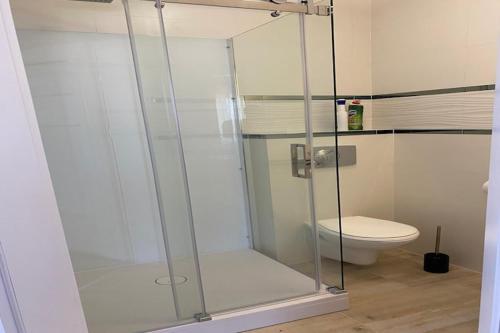 a glass shower in a bathroom with a toilet at Studio in Mi dzywodzie near Baltic Beach in Międzywodzie