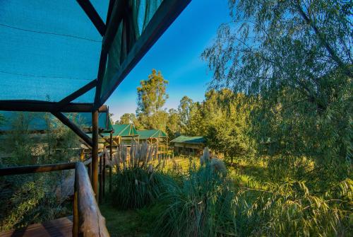 a view from the inside of a tent with trees at Amadwala Lodge in Roodepoort