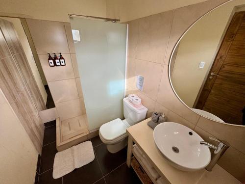 a bathroom with a sink and a toilet and a mirror at Balcón al Piltri Casa de Montaña in El Bolsón