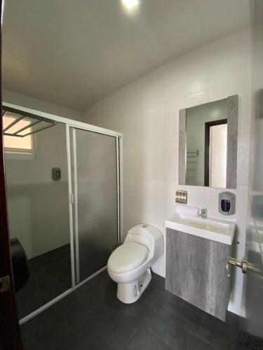a bathroom with a toilet and a sink and a shower at Hotel Estrella Apt B in Zacatlán