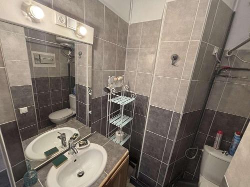 une salle de bain avec un lavabo et des toilettes dans l'établissement Appartement cosy 2 pièces en bord de mer - FR-1-229C-110, à Port-la-Nouvelle