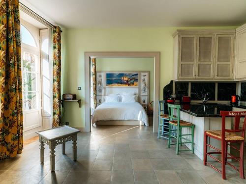 Appartement de charme, climatisé, animaux admis, centre historique de Pézenas - FR-1-607-215