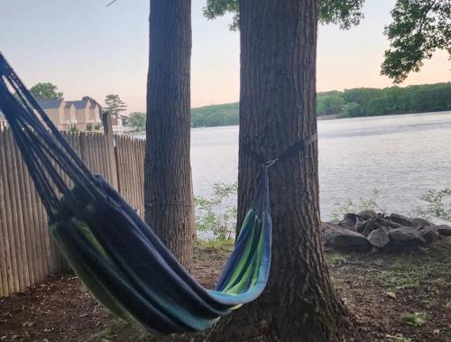 a hammock hanging from a tree next to a lake at 2 Bedroom Apartment on Quinsigamond Lake in Shrewsbury