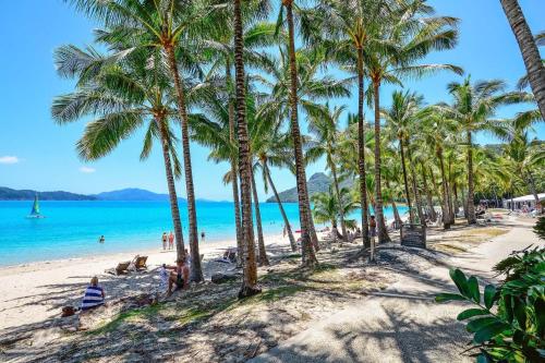 a beach with palm trees and people on the beach at Beachfront Hamilton Island in Hamilton Island