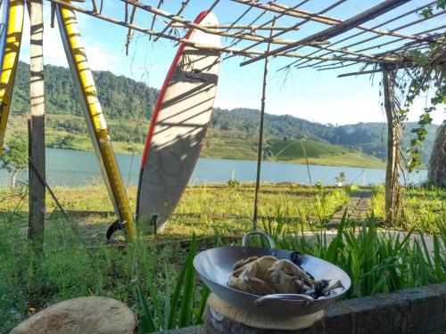 a dog laying in a bowl in front of a lake at An Trú Homestay in Tang Klang