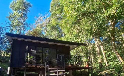a tiny house in the woods with a blue roof at Forest Love in Quepos