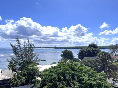 a view of a large body of water with trees at Salineo II Penthouse in Tamarin