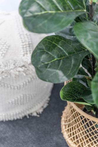 a plant in a basket next to a white towel at Lavender & Olive in Myrtleford