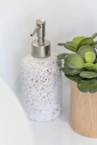 a bathroom sink with a soap dispenser and a plant at Lavender & Olive in Myrtleford