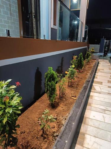 a row of plants on the side of a building at Little Hearts recidency in Āvadi